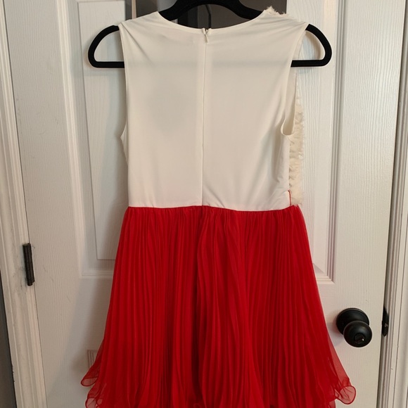 Cream and Red Skater Dress - Picture 3 of 3